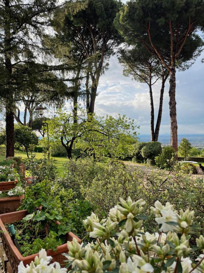 Monte Porzio Catone Appartamento Castelli Romani - Con Vista Su Roma מראה חיצוני תמונה